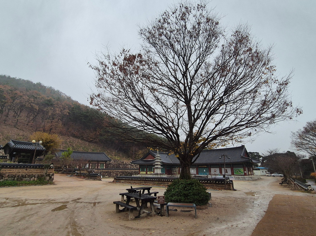Eunhaesa Temple-永州市必去景点