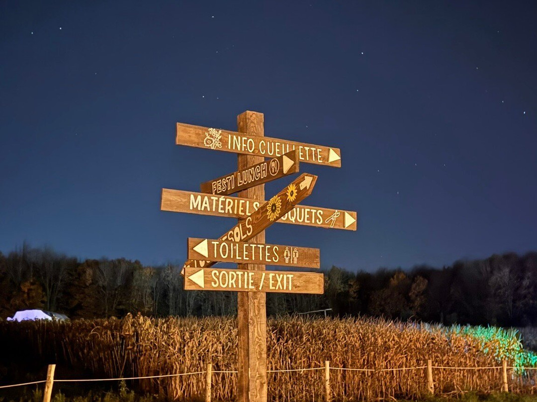 La Belle De Coteau-du-lac-Coteau-du-Lac必去景点