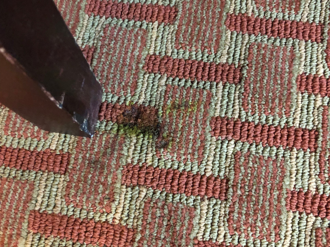 Best Western Chieftain Inn主图