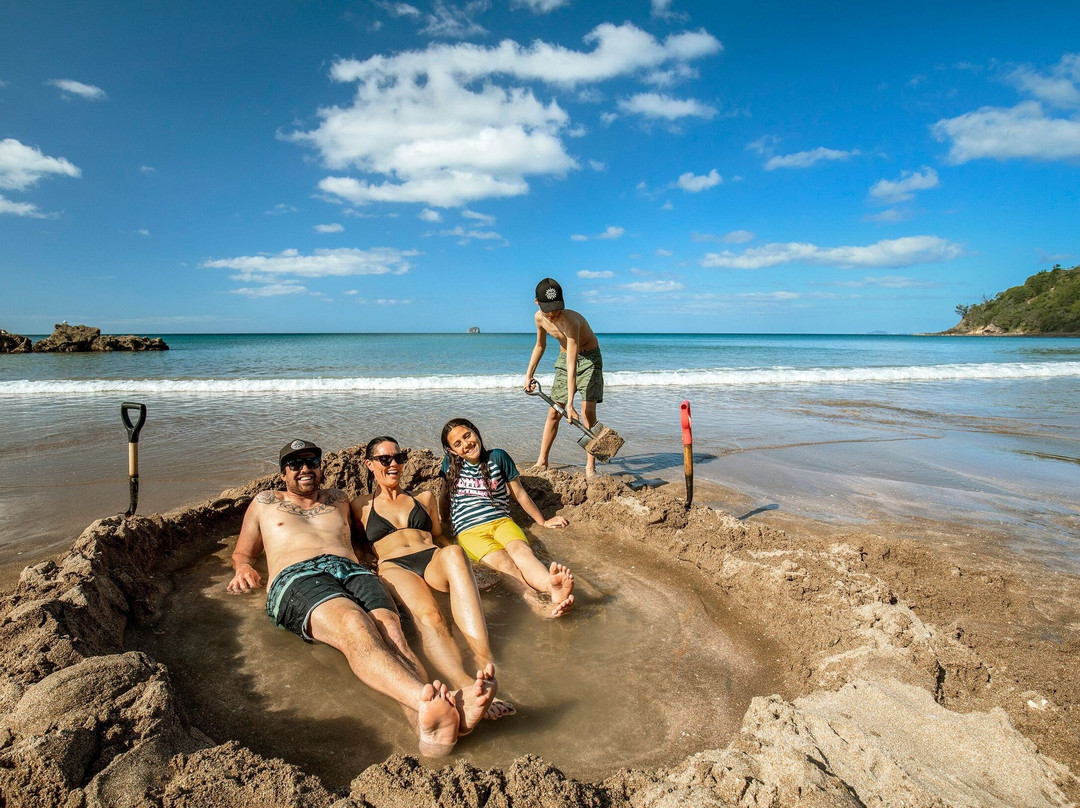 Coromandel Cathedral Cove and Hot Water Beach Day Tour from Auckland
