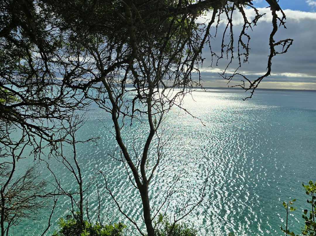 The Marina of Horta-奥尔塔必去景点