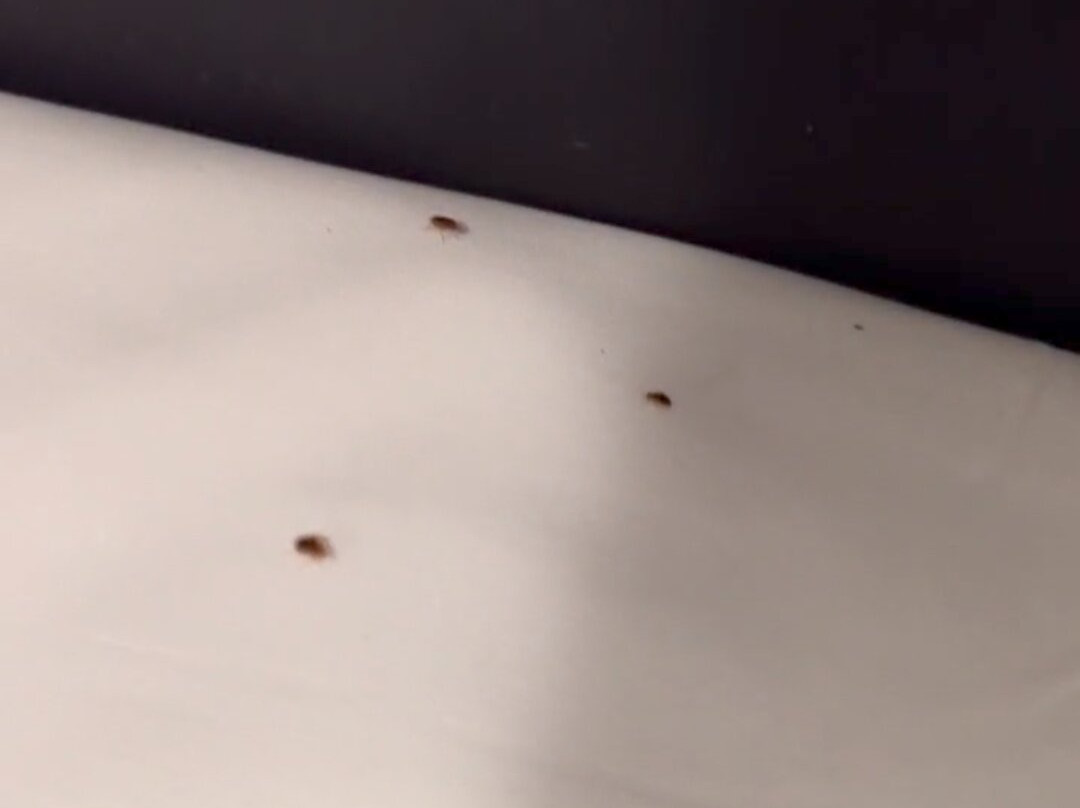 福特斯克瑞汽车旅馆加服务式公寓酒店主图