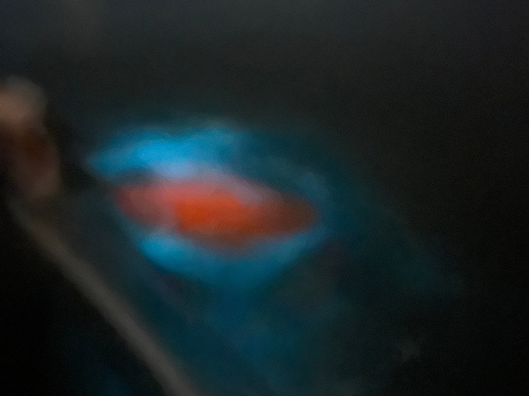 Taino Aqua Adventures-维切克岛必去景点