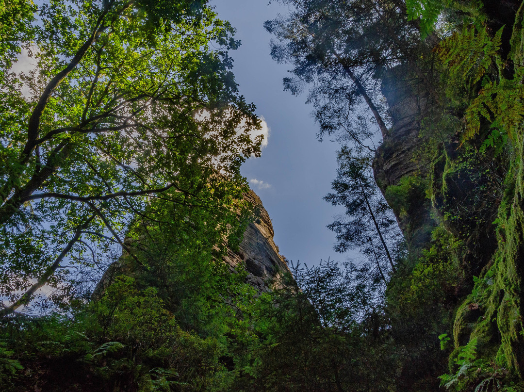 Nationalpark Sächsische Schweiz景点图片