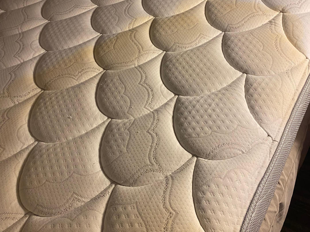 StoneHill Lawrence, Trademark Collection by Wyndham主图