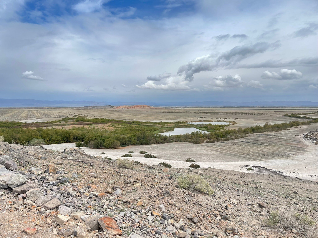 Sonny Bono National Wildlife Reserve-Calipatria必去景点