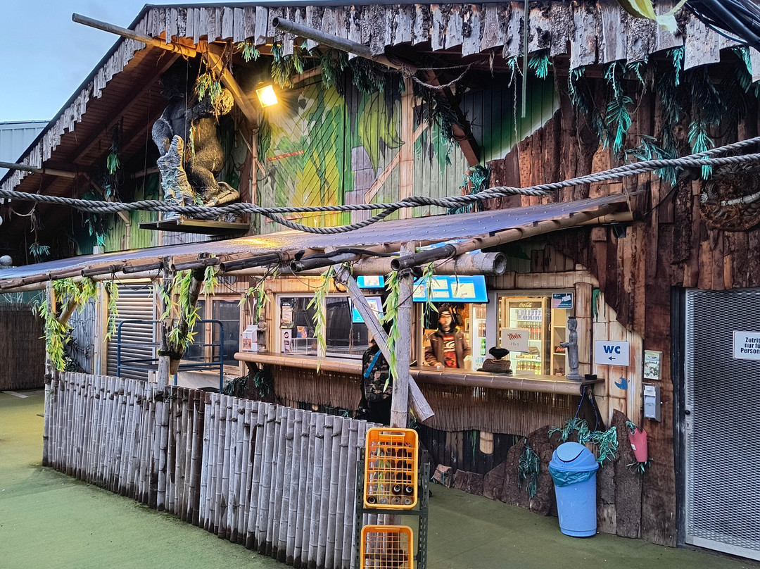 Playpaintball Jungle景点图片