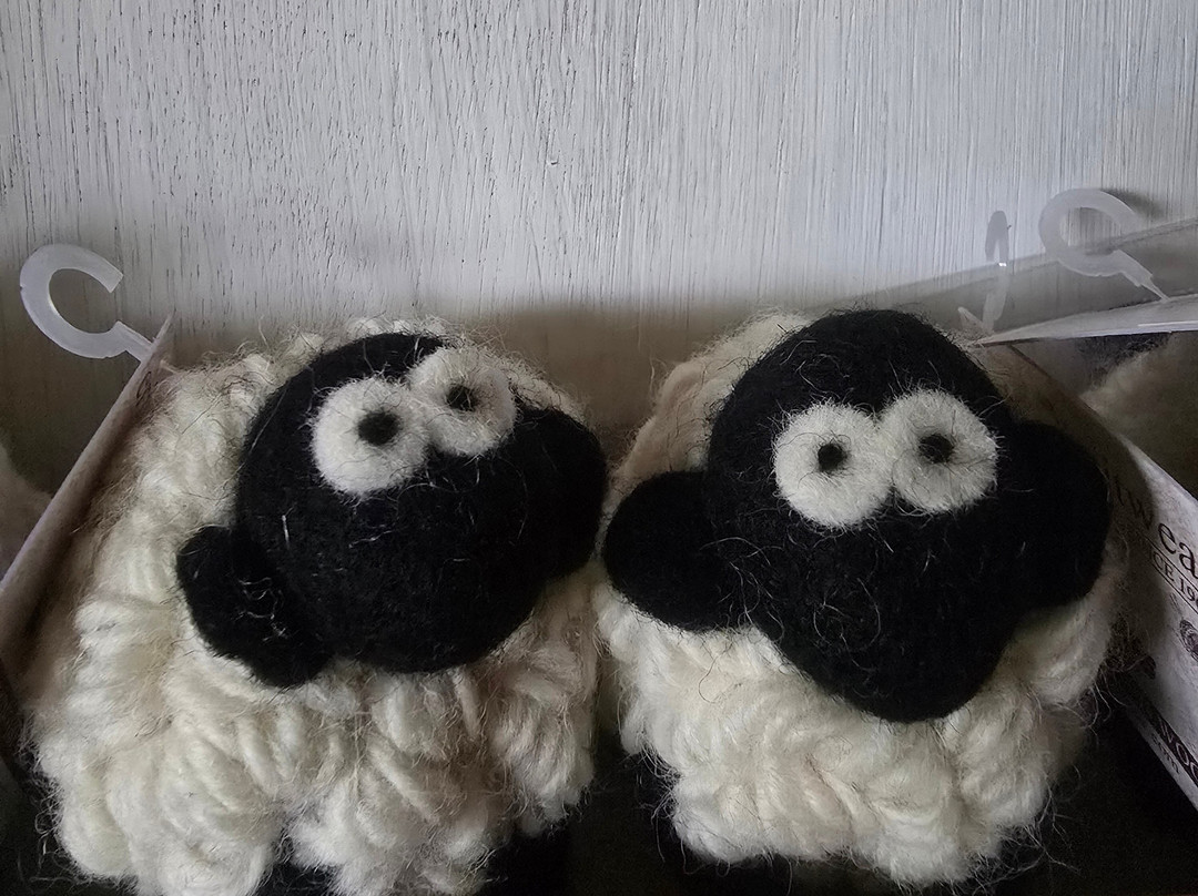 Irish Working Sheepdogs-基尔代尔郡必去景点