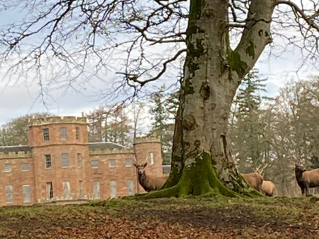 Fasque Castle-Fettercairn必去景点