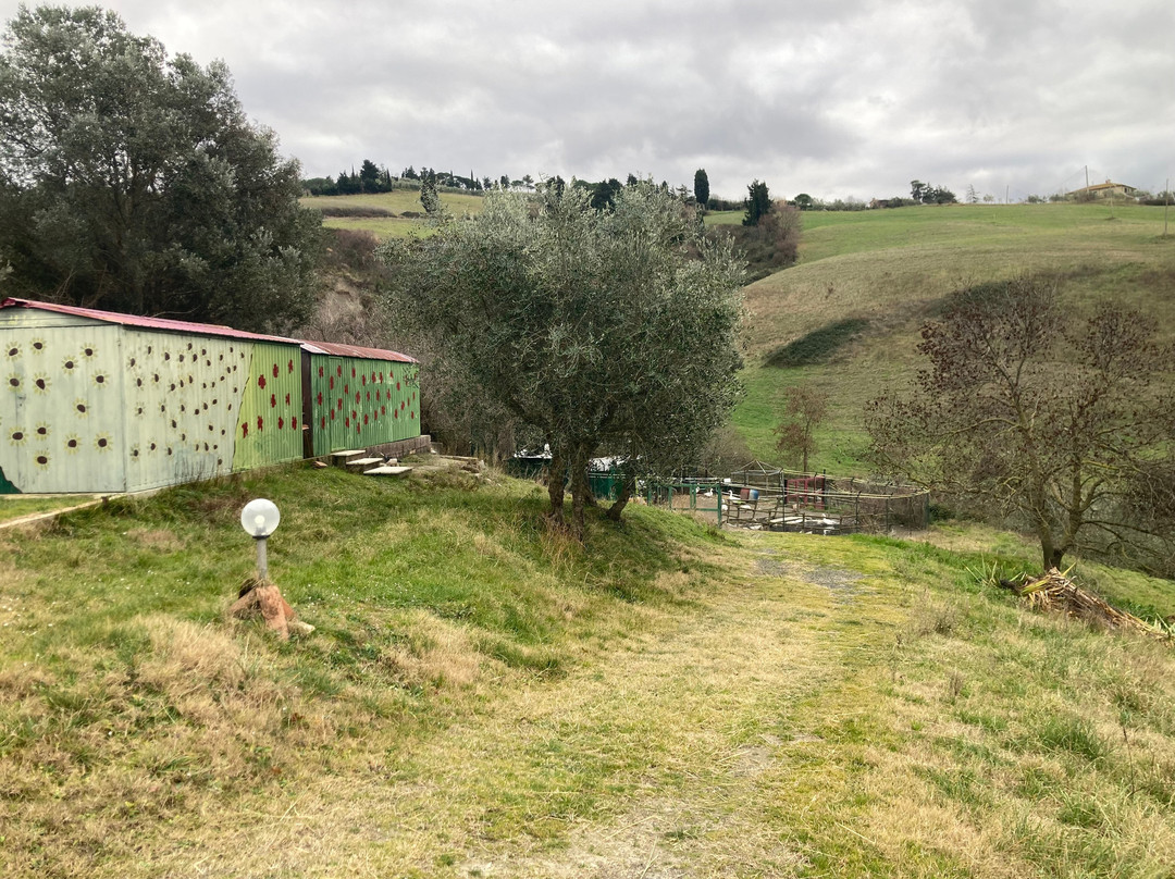 La Fattoria Di Valentina景点图片