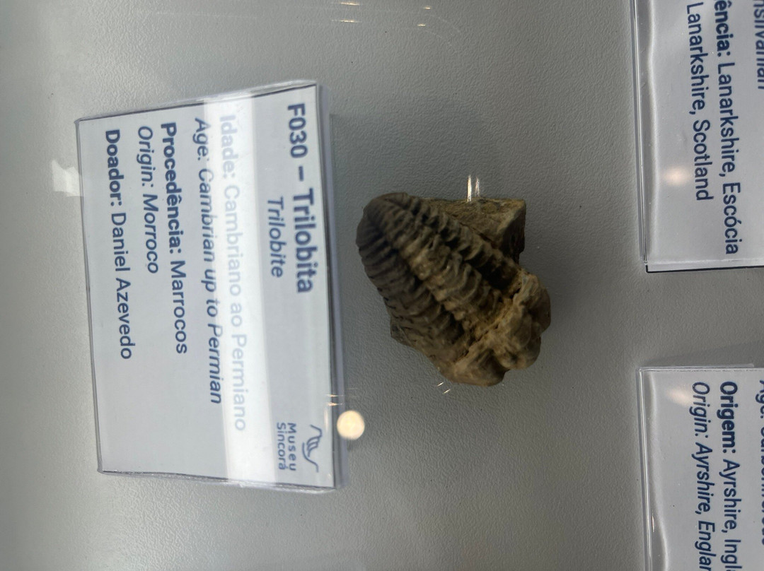 Museu Sincorá-雷恩克斯必去景点