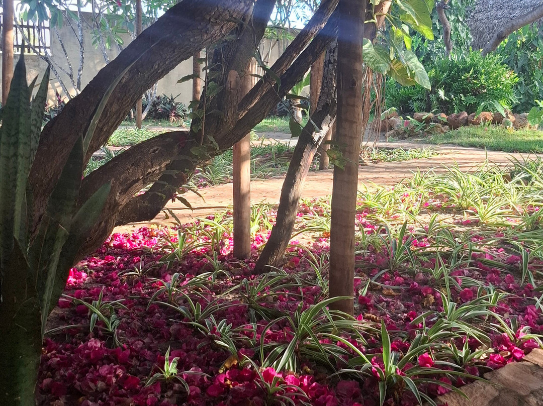 Pousada Chica Pitanga主图