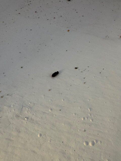 Hotel Budamar Zipolite主图