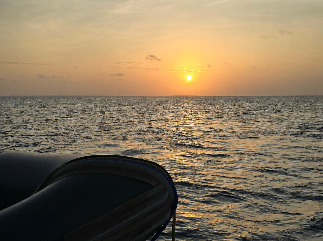 Zanzibar Yacht Charter景点图片