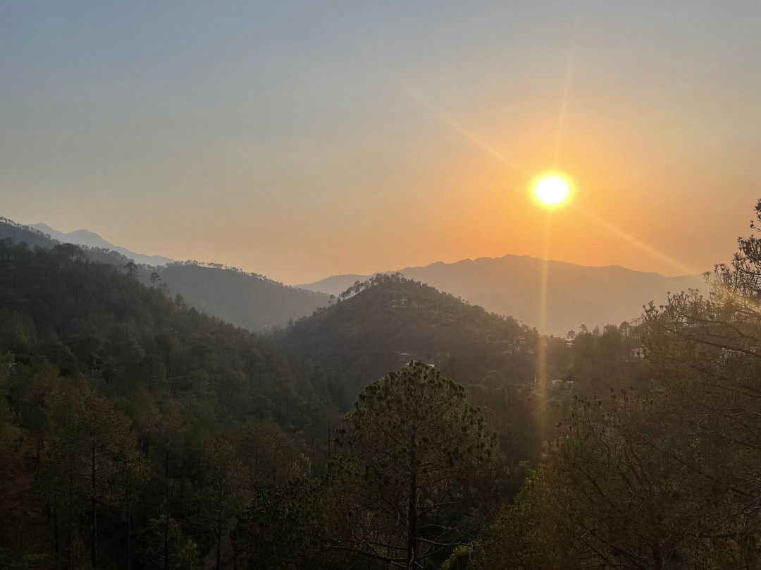 Namami Chail Resort & Spa