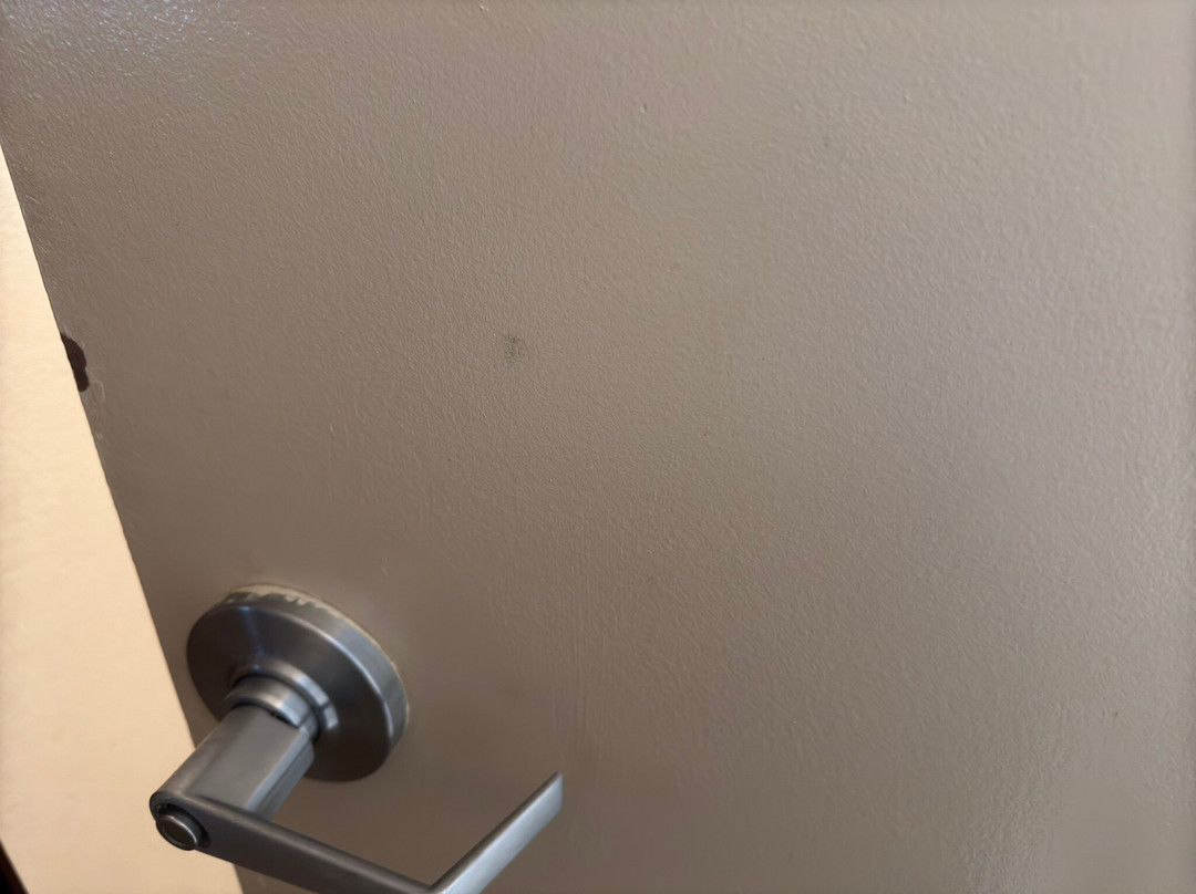 夏洛特派恩维尔希尔顿花园旅馆主图