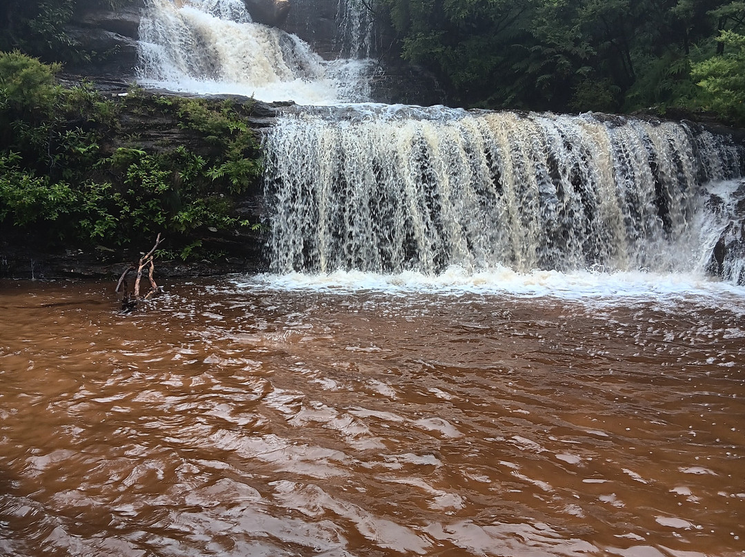 Leura Gardens Resort主图