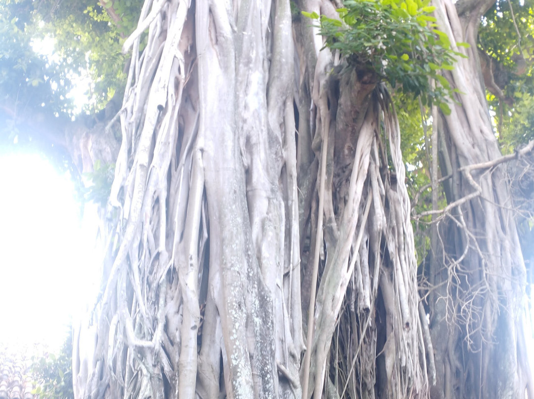 Hostal Dona Manuela主图