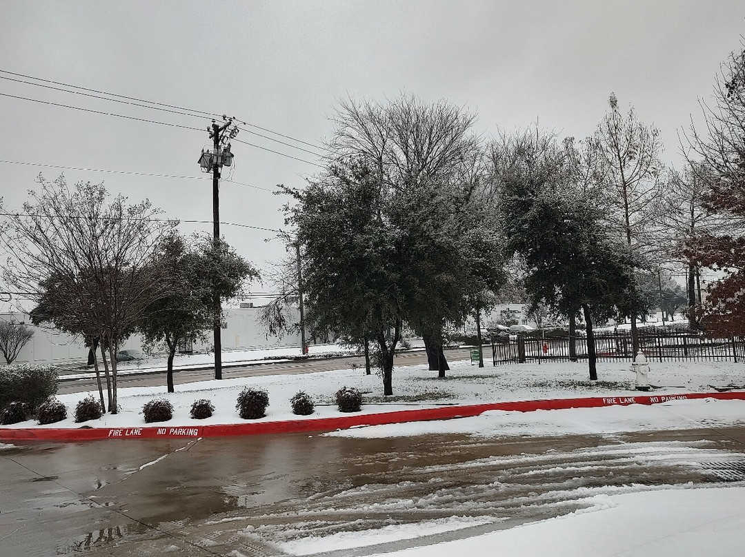 King Spa & Waterpark-达拉斯必去景点