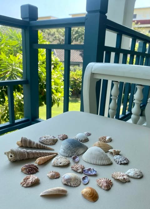 华欣德瓦萨穆度假酒店主图