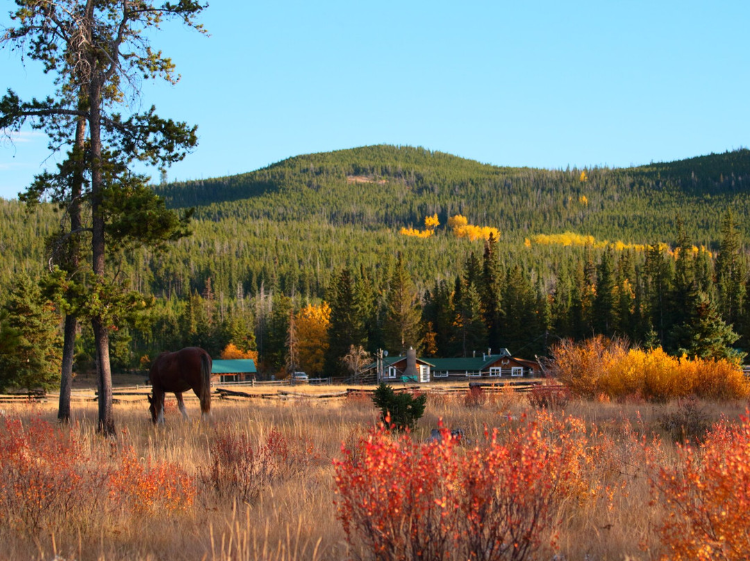 Teepee Heart Ranch