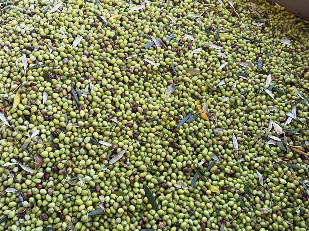 Viva Your Personal Chef-Metaxata必去景点