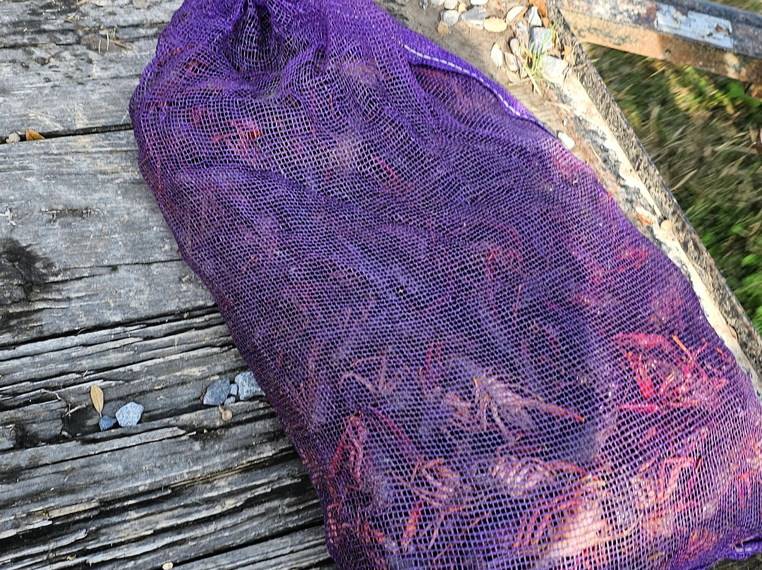 Crawfish Haven / Mrs. Rose's Bed and Breakfast主图