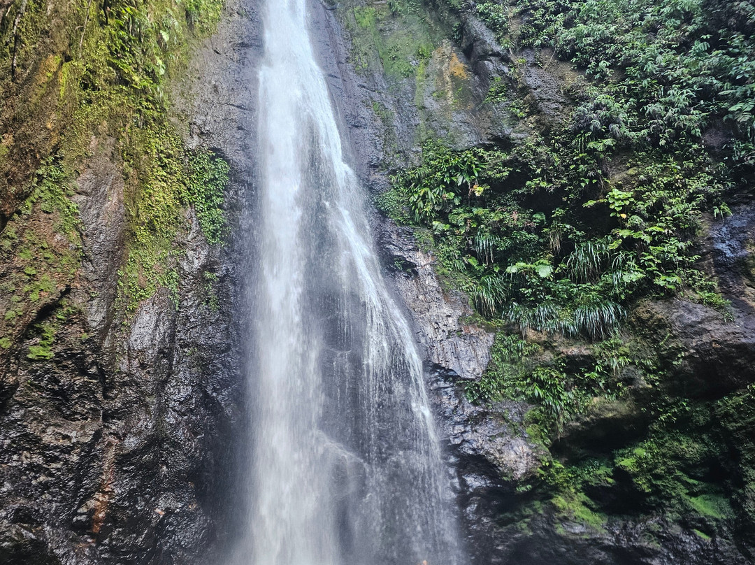 Syndicate Falls-Portsmouth必去景点