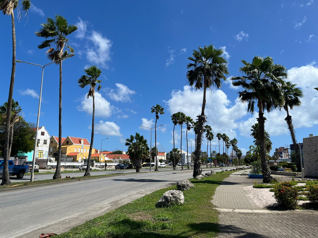 Curaçao Rif Mangrove Park-威廉斯塔德必去景点