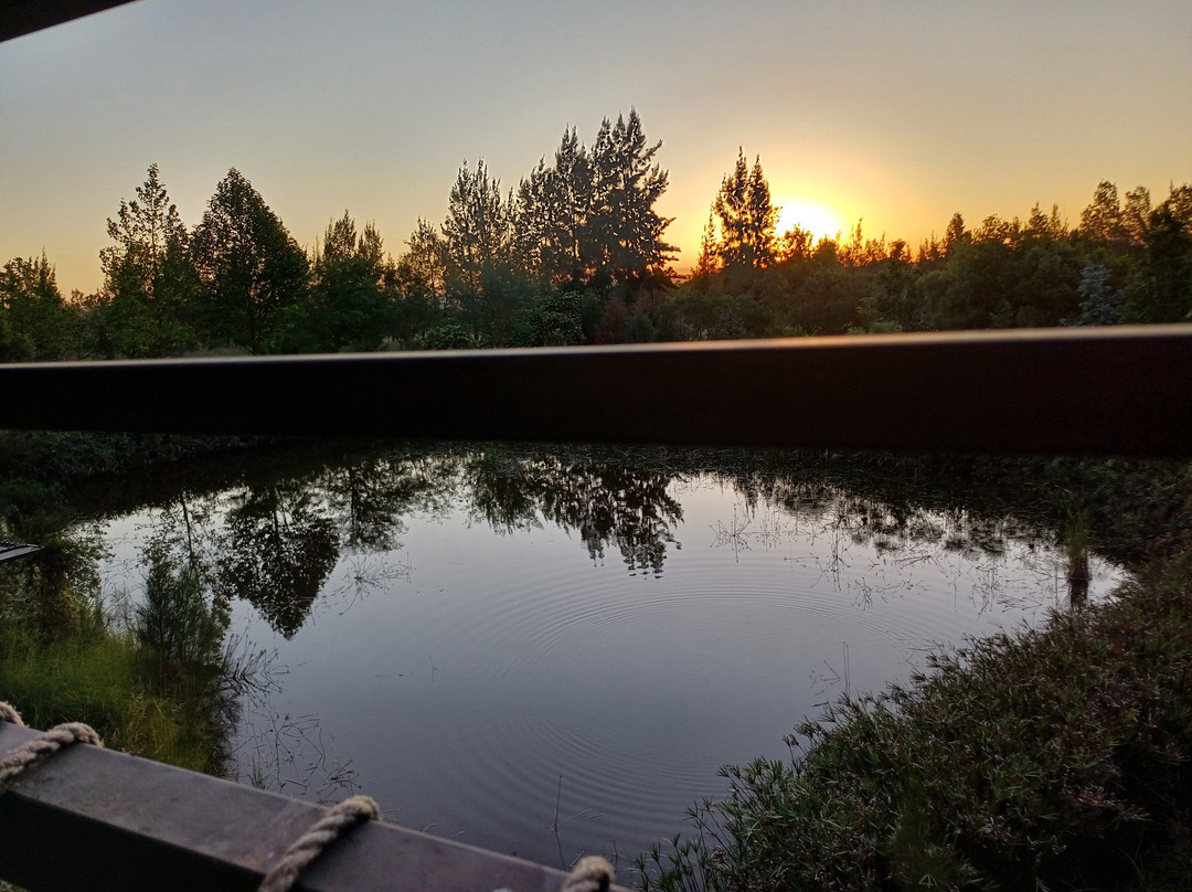 Rosemary Hill Accommodation主图