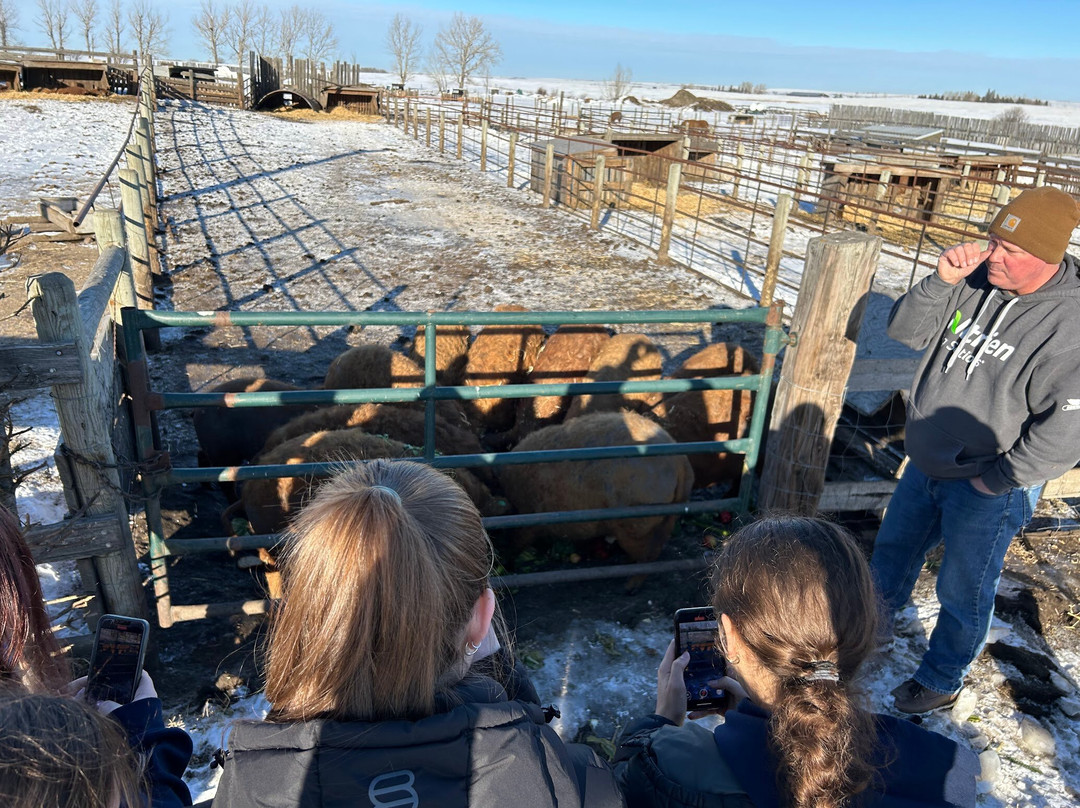 Eh Farms-Strathmore必去景点