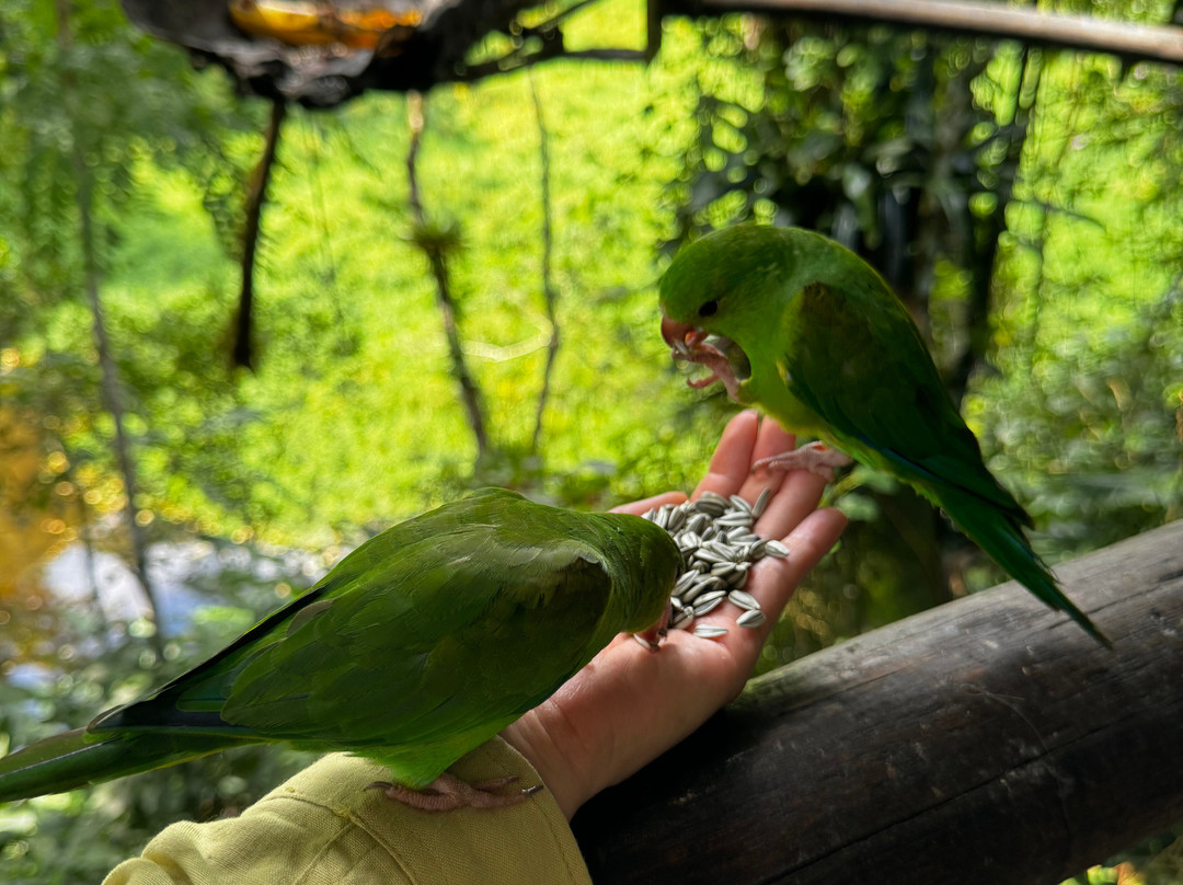Trilha dos Tucanos-Tapirai必去景点