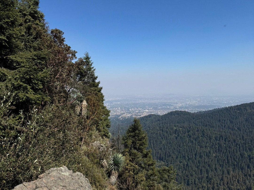 Los Dinamos-墨西哥城必去景点