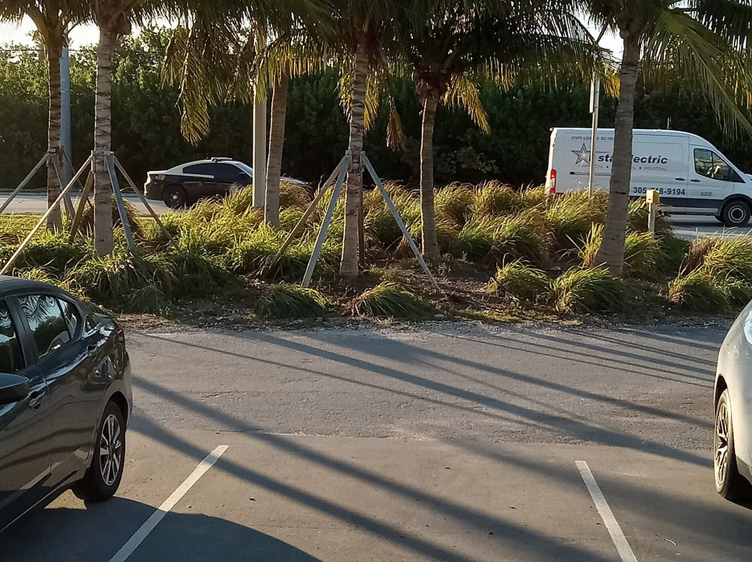 Coconut Cay Resort & Marina主图