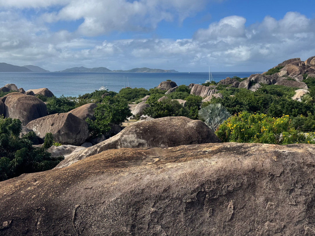 The Moorings Yacht Club Hotel主图