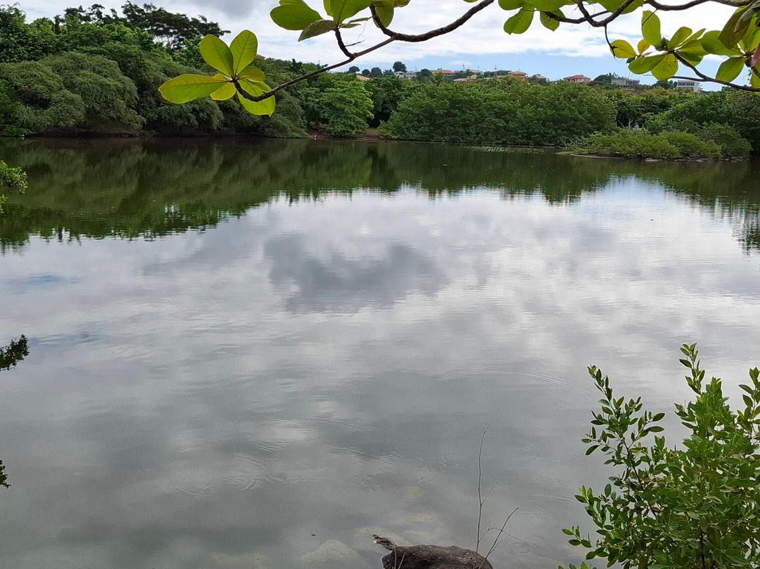 Royalton Lake景点图片