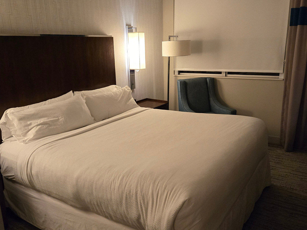 Four Points by Sheraton Coral Gables主图