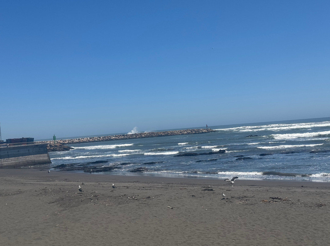 Cerro Condell-Curico必去景点