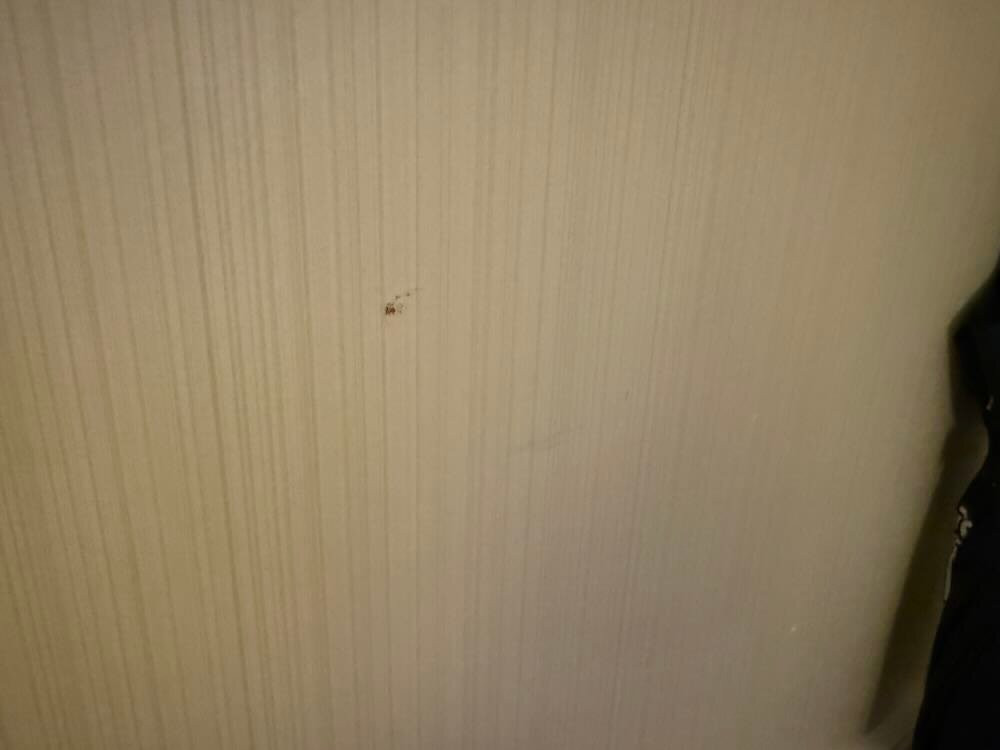 海利根达姆豪华酒店主图