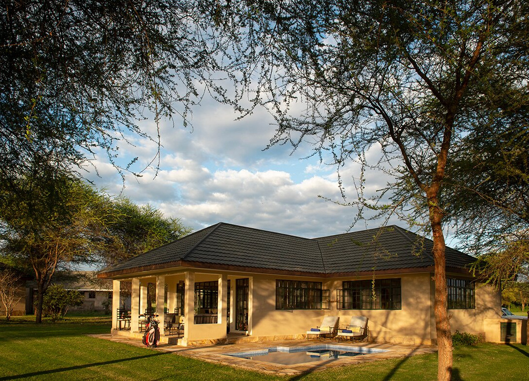 The Green Side主图