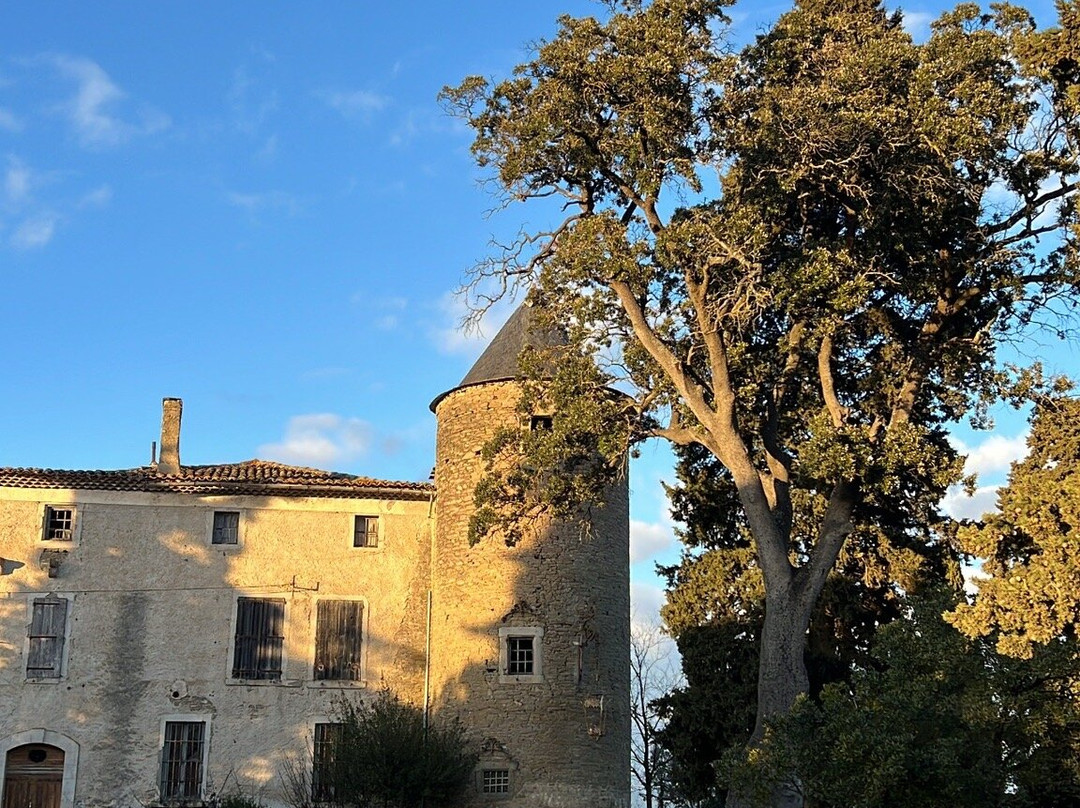 Les Cabanes Dans Les Bois  Logis Hôtel主图