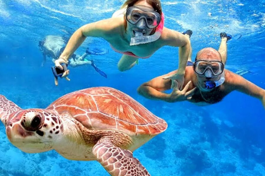 Snorkeling Diving Menjangan景点图片
