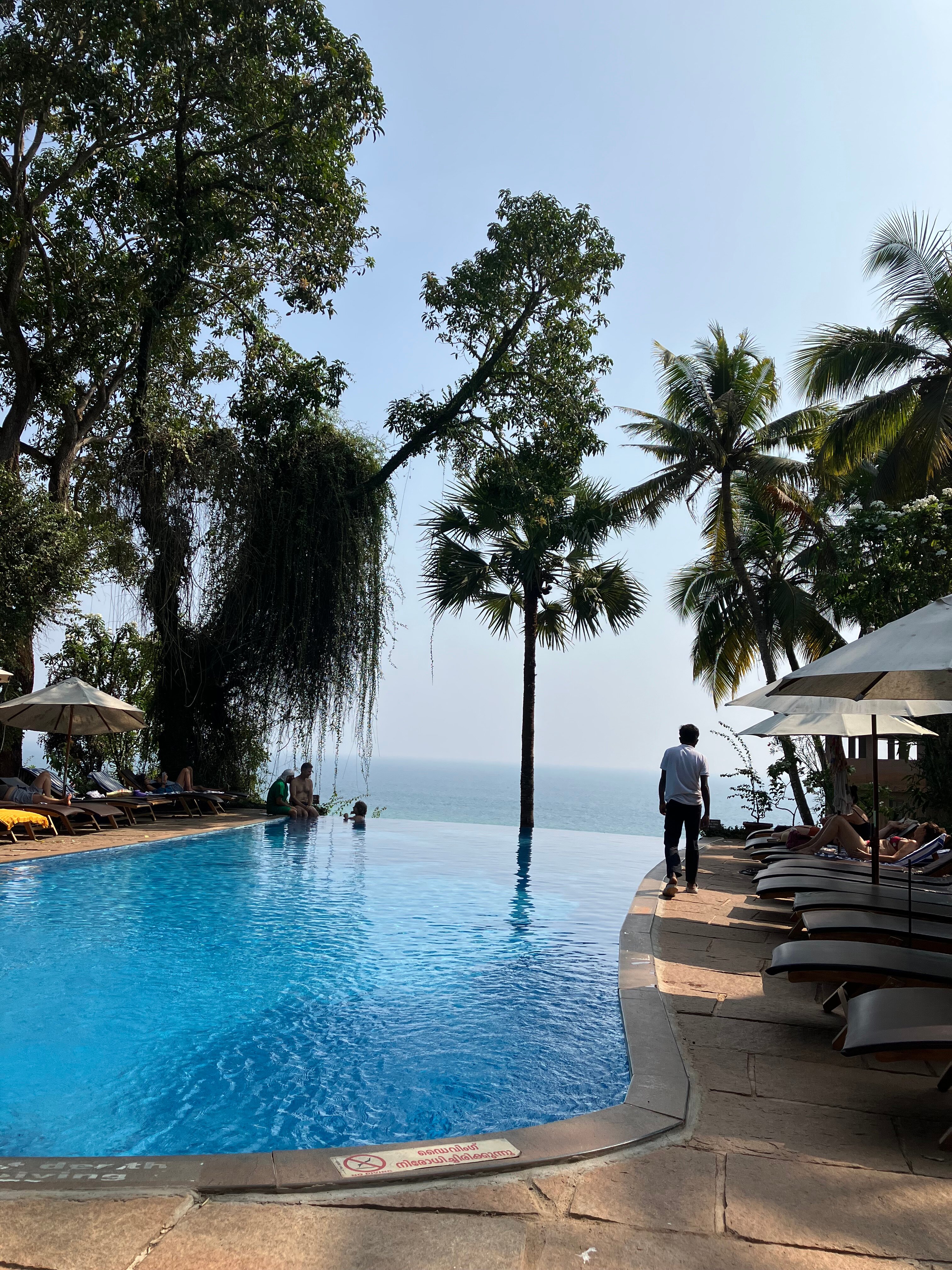 AyurSoma Ayurveda Royal Retreat-泳池