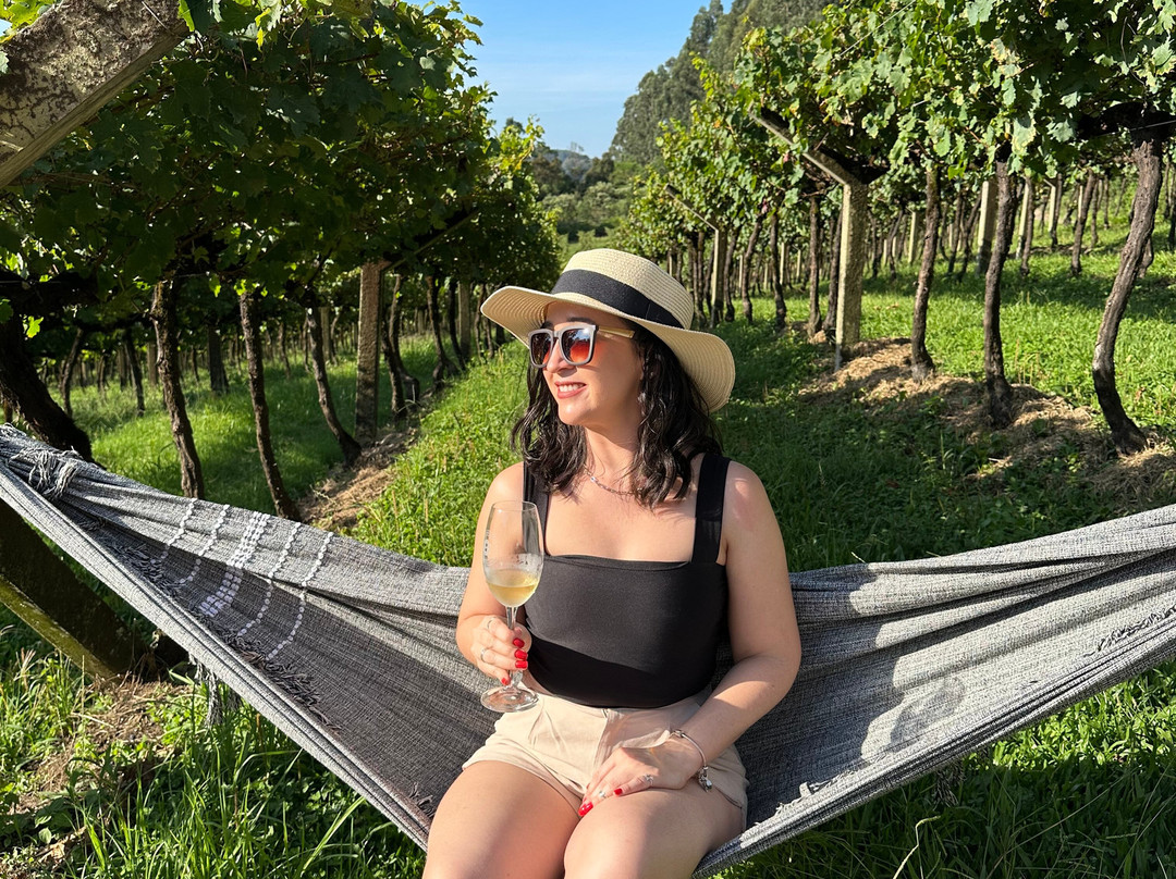 Vinicola Quinta Don Bonifacio-南卡希亚斯必去景点