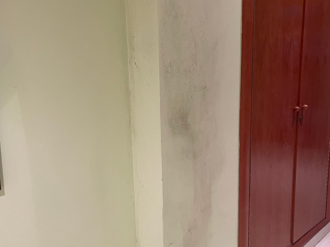 Hotel Rural El Tejarejo主图