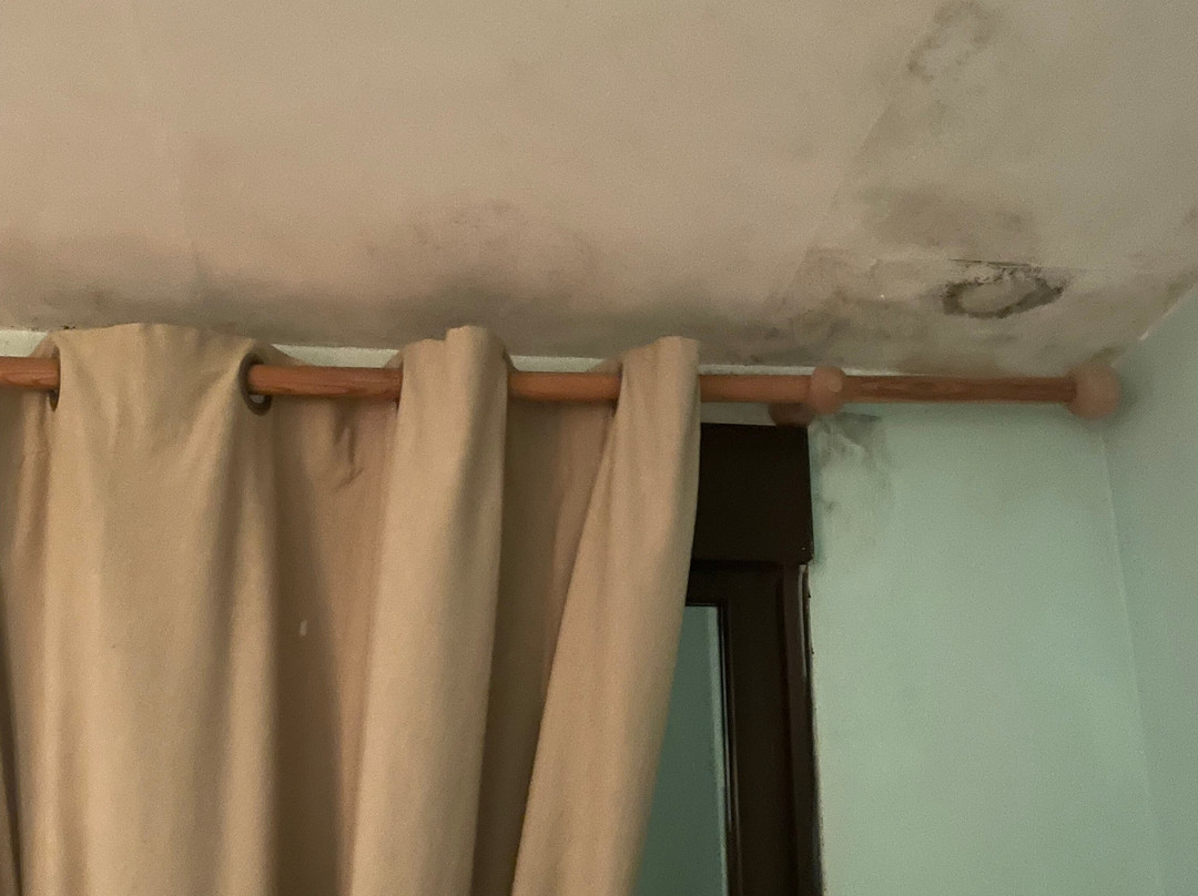 Hotel Rural El Tejarejo主图