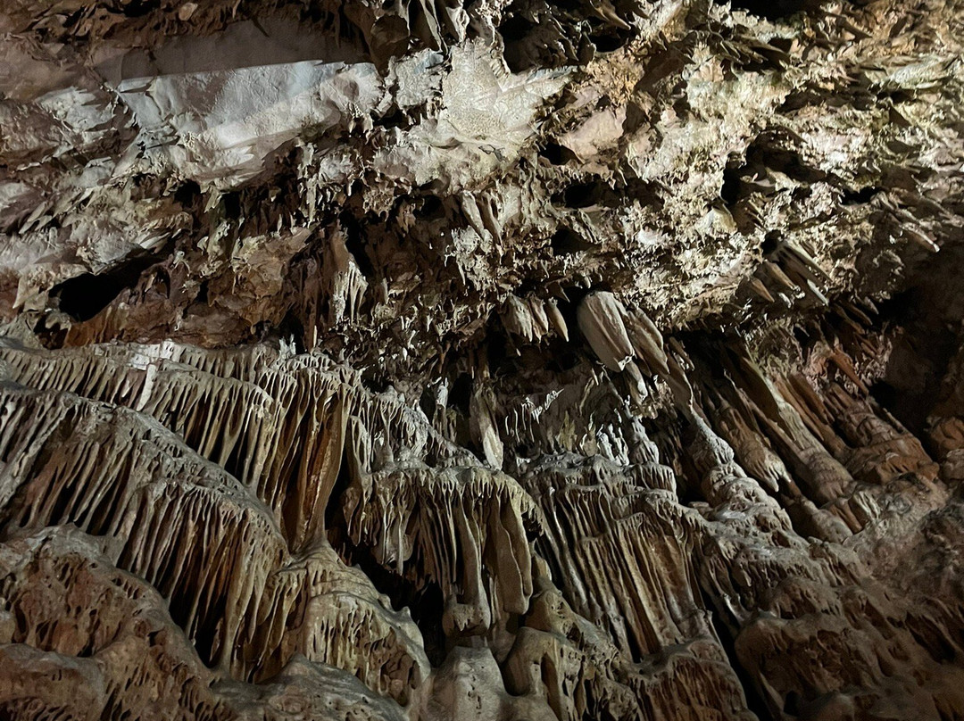Grotta Gigante景点图片