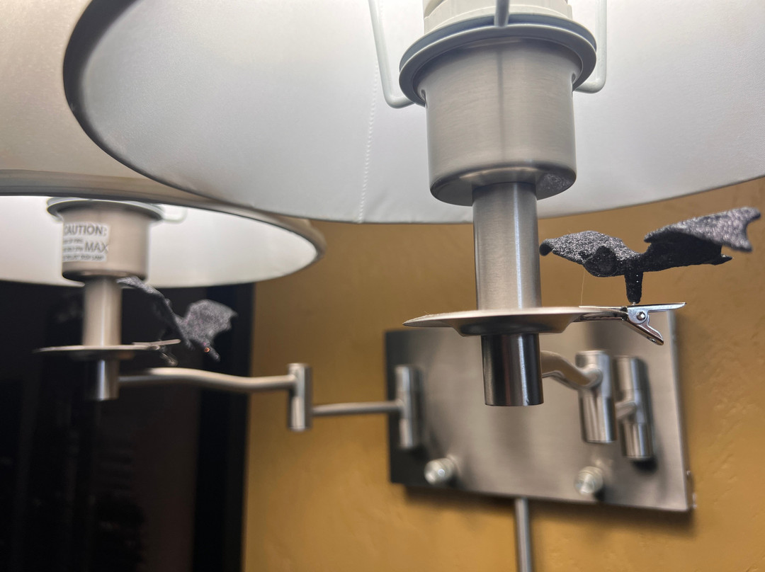 Super 8 by Wyndham Kennewick主图