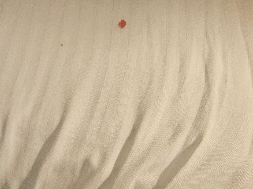 La Quinta Inn & Suites by Wyndham Mesa Superstition Springs主图