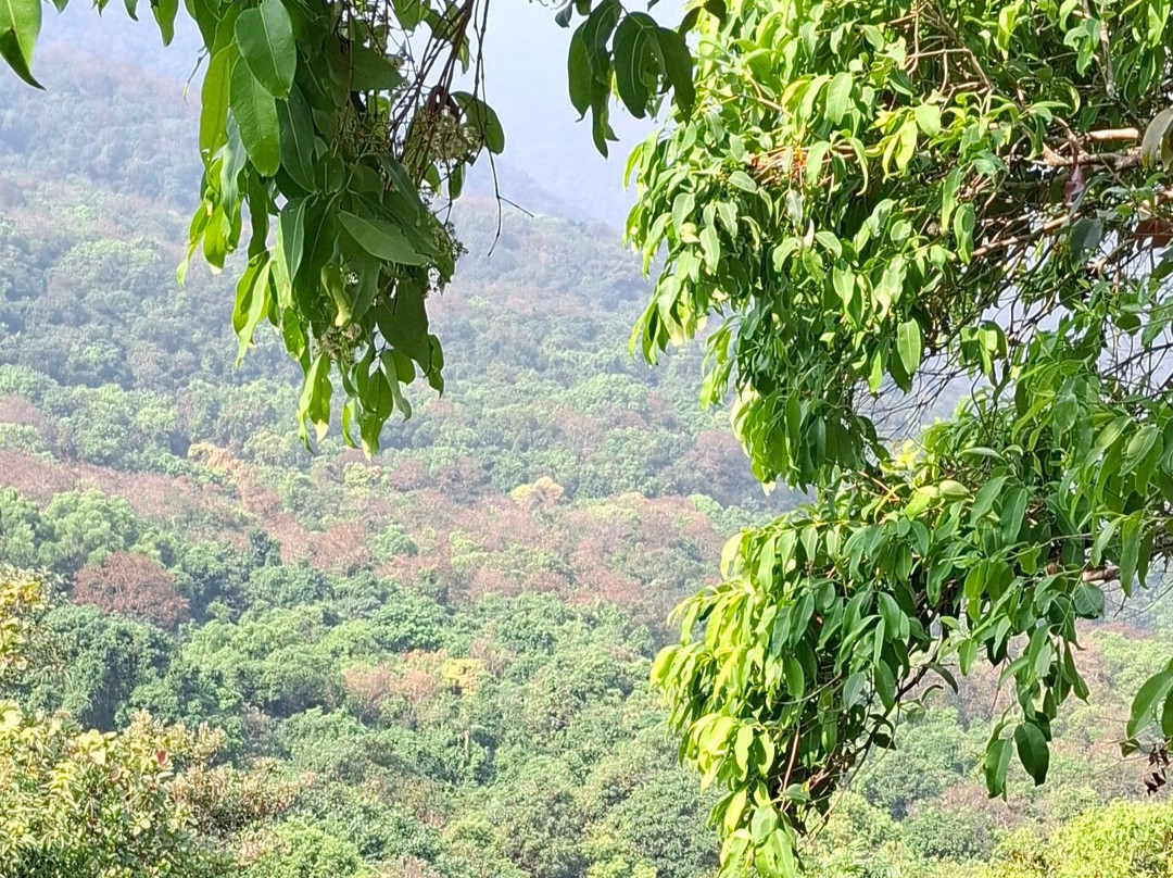 Funicular (wildernest)景点图片